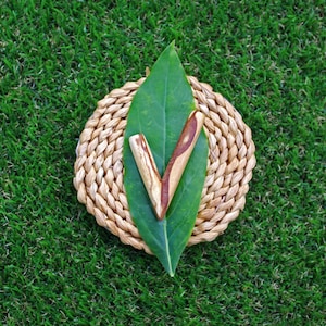 May include: A green leaf with a brown wooden checkmark on top of a woven straw coaster.