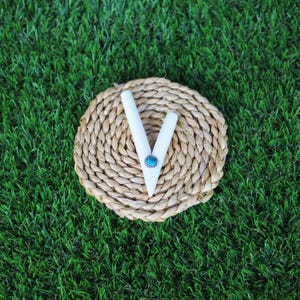 Kuripe Self Applicator | Minimalist Kuripe | Made of Llama Bone & Bearing a Peruvian Turquoise Stone | From Sacred Valley, Cusco