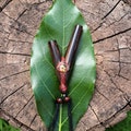 KURIPE NECKLACE made of Chonta with an Aya Vine Piece and a Peruvian Turquoise cabochon