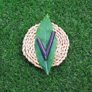 May include: A dark brown wooden check mark on a green leaf, resting on a woven wicker coaster.