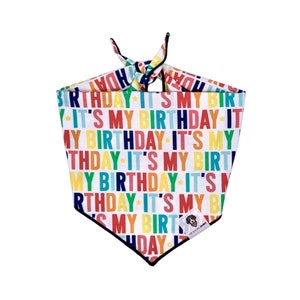 Bandana à nouer pour chien C'est mon anniversaire