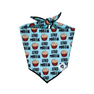 Stud Muffin Tie-On Dog Bandana
