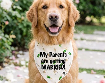 Pañuelo para perro con anuncio de boda: "Mis padres se casan" Pañuelo para perro color champán