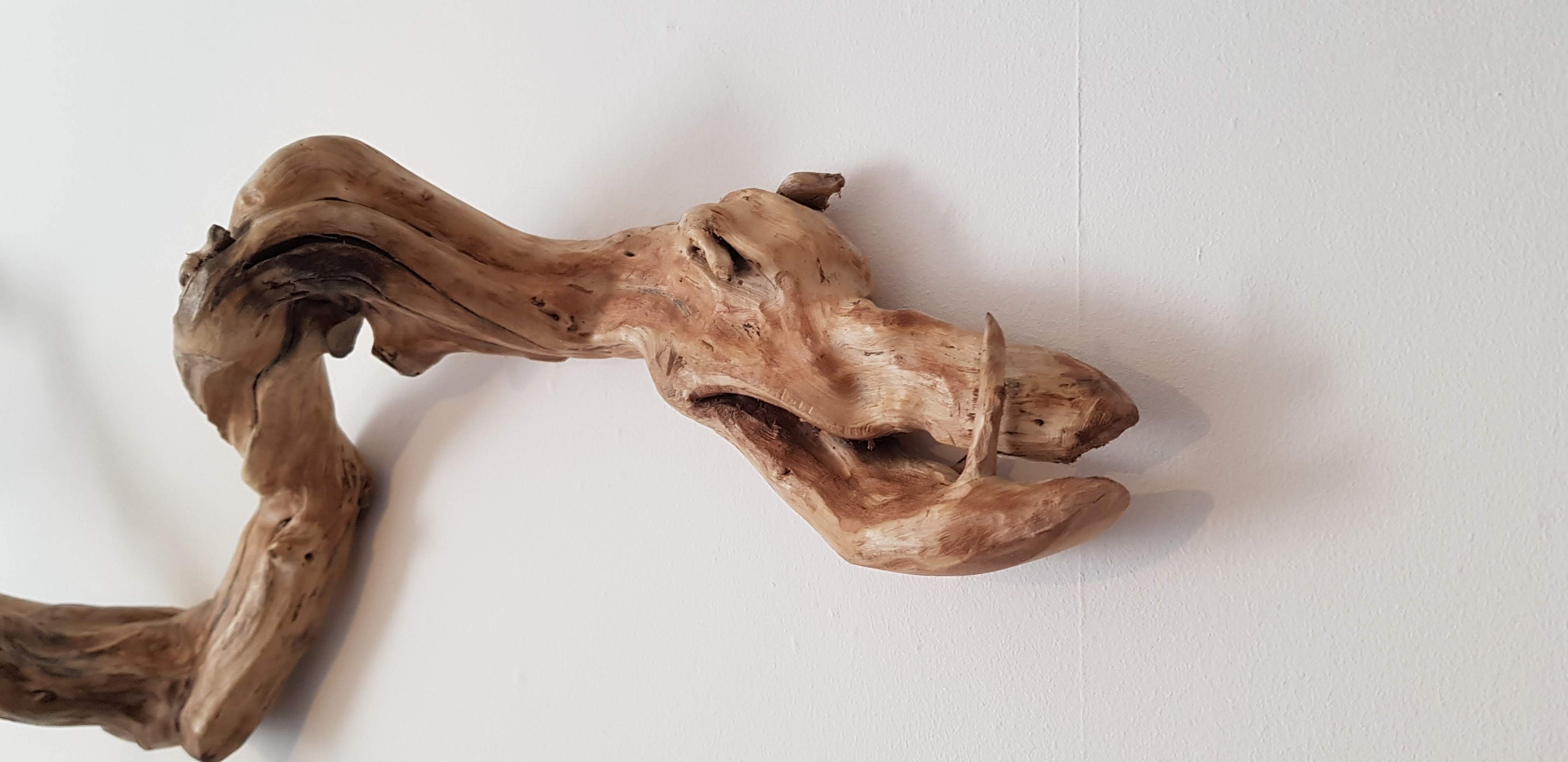 Driftwood wall art driftwood art wooden wall art coastal Etsy