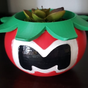 Piantatrice di pomodori