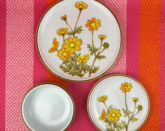 Mikasa Natural Beauty Southern Sun Dinner Plates, Bread Plates & Bowls / Made in Japan 1975-77 / C9006 Design (Set of 3)