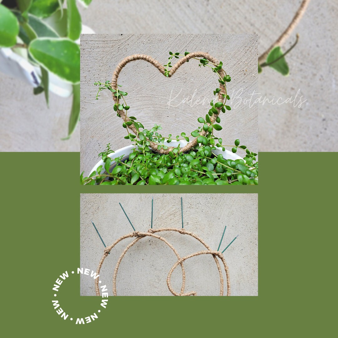 Heart Shape Topiary Frame Trellis for Planters Etsy