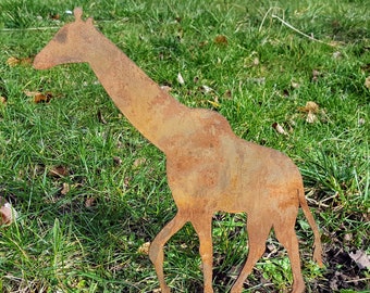 Edelrost Giraffe auf der Suche nach einem neuen Zuhause. Die Metallfigur mit Rostpatina ist ein außergewöhnlicher Gartenstecker