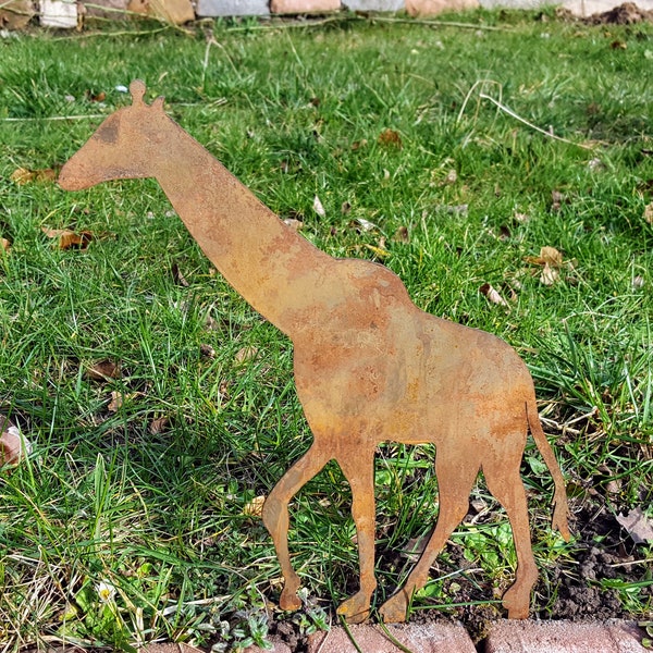 Edelrost Giraffe auf der Suche nach einem neuen Zuhause. Die Metallfigur mit Rostpatina ist ein außergewöhnlicher Gartenstecker