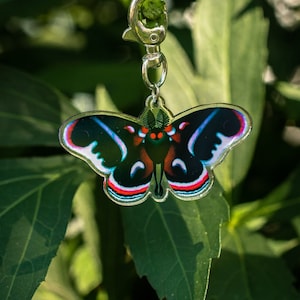 Encanto de mothman
