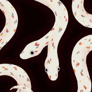 Puede incluir: Ilustración de varias serpientes blancas con patrones moteados en rojo, amarillo y gris. Las serpientes están sobre un fondo marrón oscuro. Las serpientes tienen ojos negros y están en posición curva.