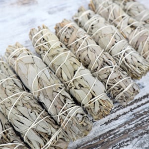 White Sage Cleansing Wand | Medium | 15cm | Purification & Energy Clearing