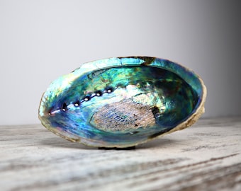 Raw Abalone Shell | Unpolished | Cleansing, Ocean Healing & Sacred Ritual