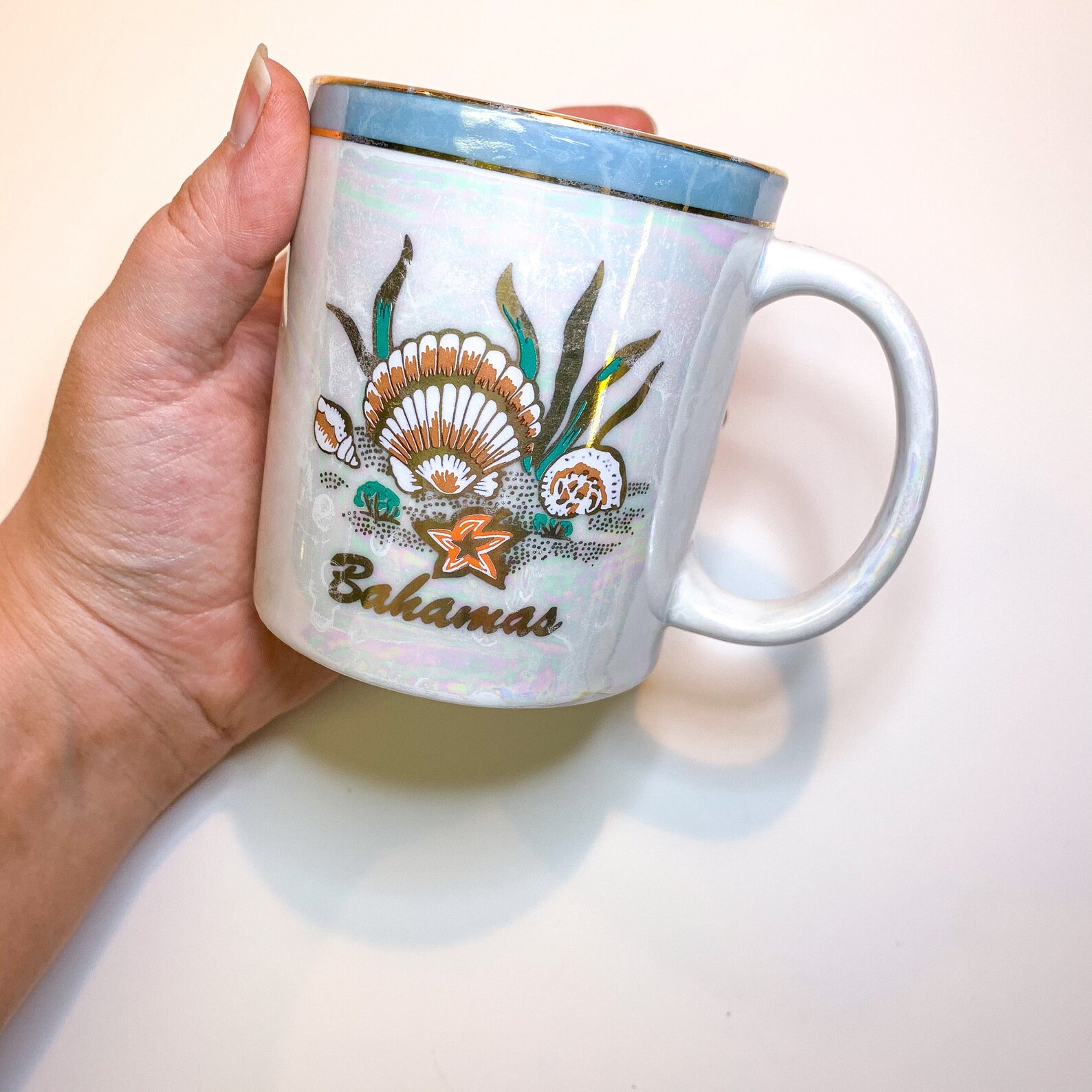 Vintage Iridescent Seashell Souvenir Mug Etsy
