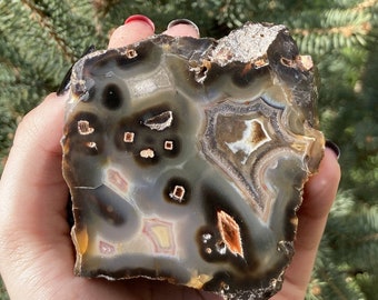 May include: A slice of agate with brown, white, and orange banding. The agate has a natural, rough edge and is translucent.