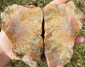 May include: Two halves of a large, agate geode with a yellow, brown, and white pattern. The geode has a natural, rough edge.