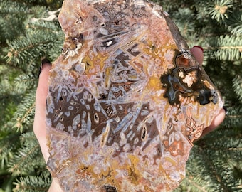 May include: A large, irregularly shaped slab of agate with a variety of colors and patterns, including brown, white, orange, and gray. The agate has a smooth, polished surface.