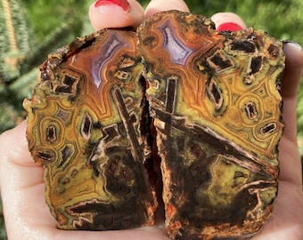 May include: Two pieces of agate with a colorful, swirling pattern of brown, orange, yellow, and purple. The agate is translucent and has a glossy finish.