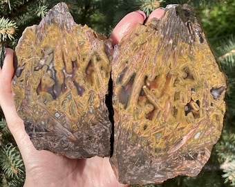 May include: Two halves of a large, brown, yellow, and orange agate geode with a crystalline structure. The geode is held in a hand.