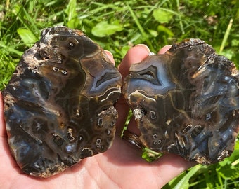 May include: Two halves of a brown agate geode with white and gray banding. The geode has a natural, rough edge.