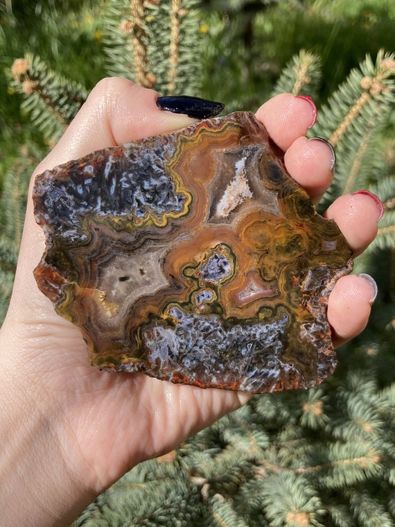 Unique Agate Slice With Yellow Green and Pink Crazy Laces and