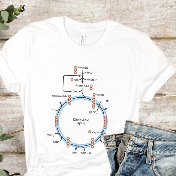 TCA Krebs Cycle Biochemistry T-Shirt - Medical School Gift, Future Doctor Gift, Med Student Funny T Shirt Medical Student Graduation Gift