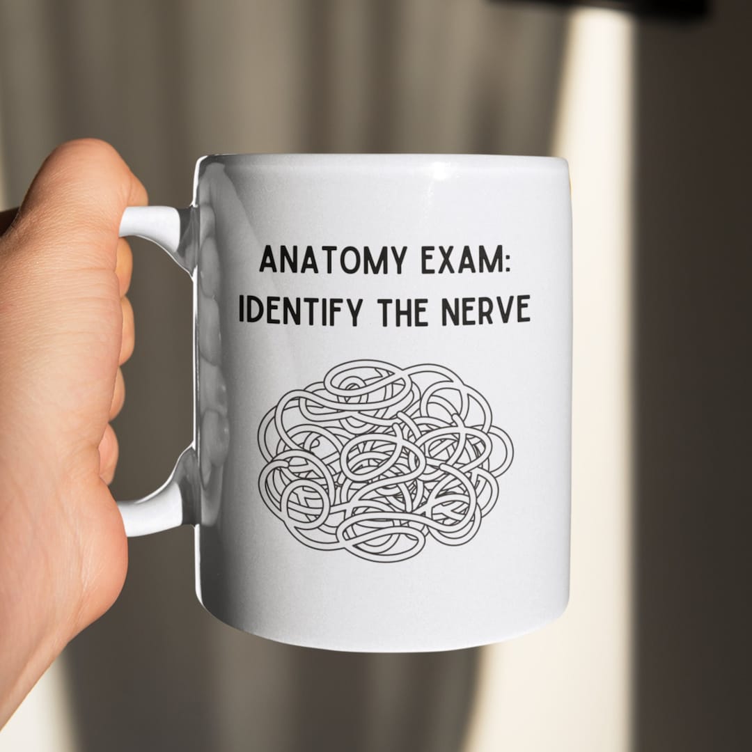 Anatomy Joke Mug Identify the Nerve Medical School Reality Funny Mug