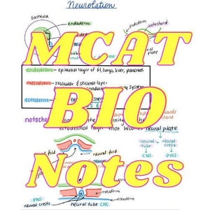 May include: A yellow and white illustration of the word "MCAT BIO NOTES" with a diagram of the development of the nervous system in a human embryo. The diagram shows the neural tube, neural crest, and notochord.
