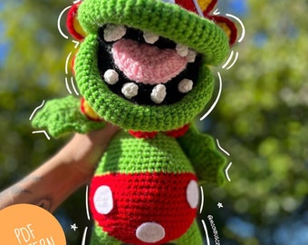 Petey Plant Crochet Pattern