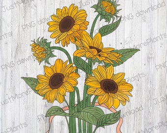 Flower PNG, The Sunflower PNG, Flower Type, Flower Gift, Floral Design, Cute Flower, Flower Lover Gift