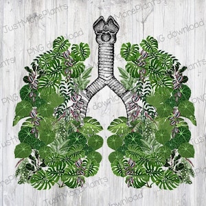 Plant PNG, Plant Lover PNG, Plant Gift, Plant Lover, Plant Lover Gift, Plant Mom, Plant Mom Gift, Gift For Planter image 1