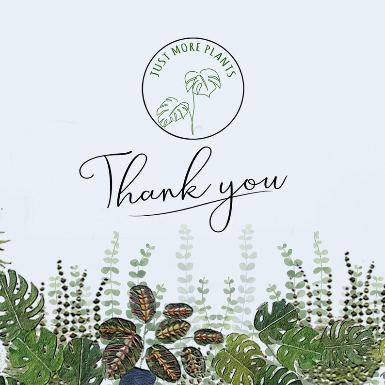 Peut inclure: Illustration num&eacute;rique avec le texte "Thank you" en &eacute;criture cursive. L'image comprend un logo circulaire avec le texte "Just More Plants" et une illustration de plante. Le bas de l'image est orn&eacute; de feuillage et de feuilles vertes.