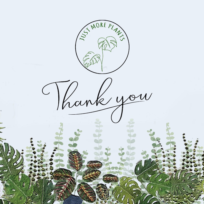 May include: Thank you card with a green leafy border and a circle logo that says "Just More Plants" with a line drawing of a plant.