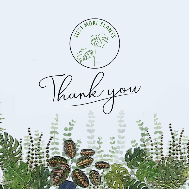 May include: Thank you card with a green leafy border and a circle logo that says "Just More Plants" with a line drawing of a plant.