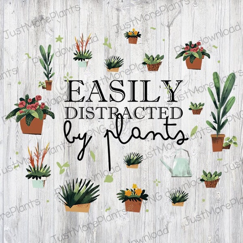 Plant PNG Easily Distracted by Plants PNG Plant Gift Plant - Etsy