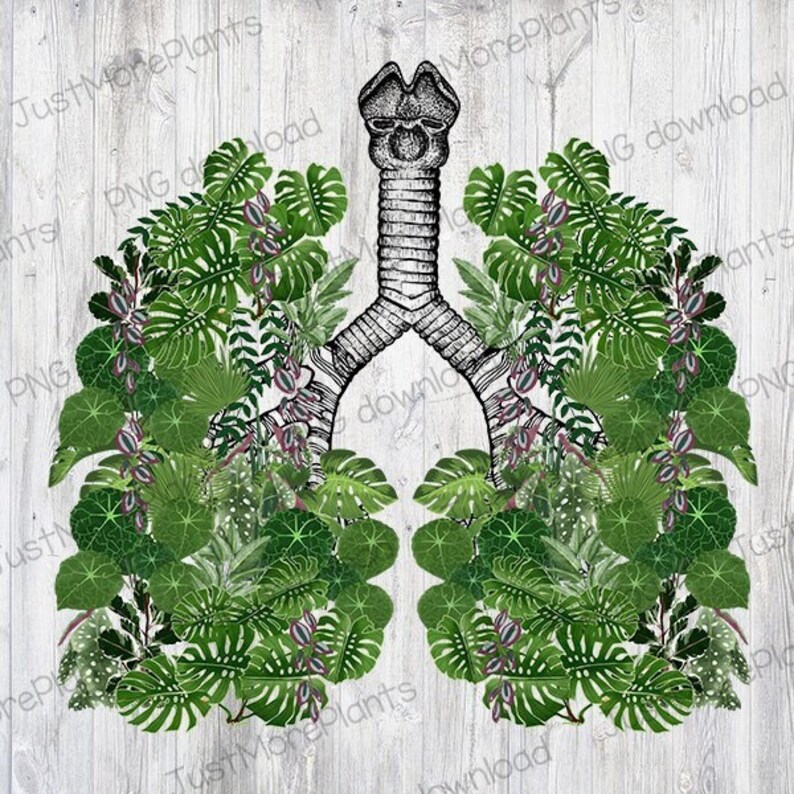 Plant PNG, Plant Lover PNG, Plant Gift, Plant Lover, Plant Lover Gift, Plant Mom, Plant Mom Gift, Gift For Planter image 1
