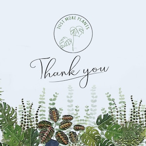 May include: Thank you card with a green leafy border and a circle logo that says "Just More Plants" with a line drawing of a plant.