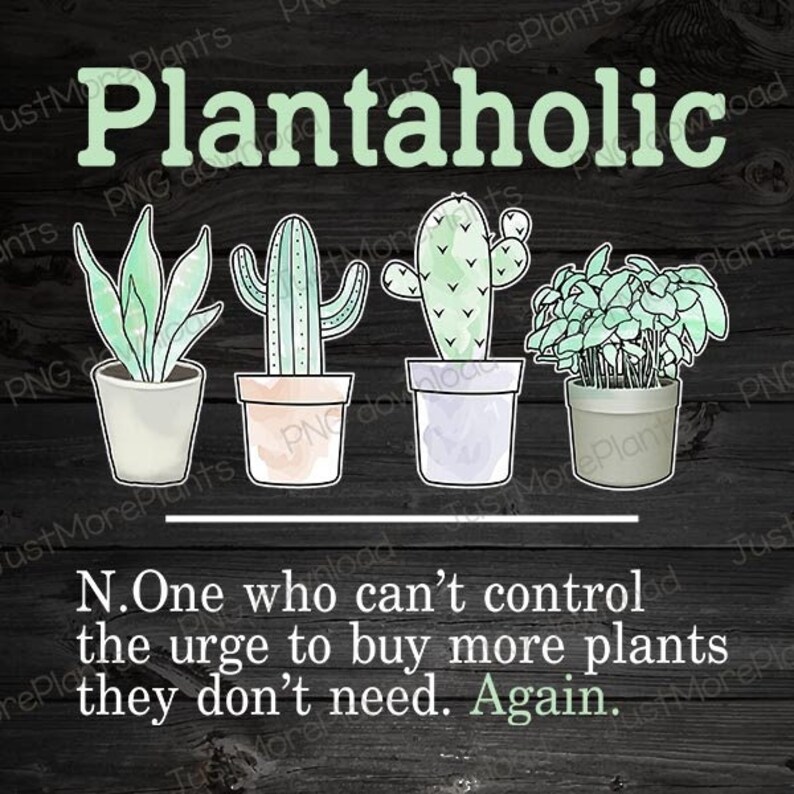 May include: A black and white graphic with the text "Plantaholic" in green letters. The graphic features four potted plants: a snake plant, two cacti, and a leafy plant. The text below the plants reads "N. One who can't control the urge to buy more plants they don't need. Again."