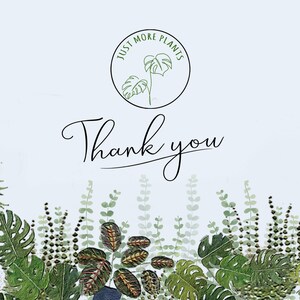 May include: Thank you card with a green leafy border and a circle logo that says "Just More Plants" with a line drawing of a plant inside.