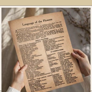 May include: A vintage-style print titled "Language of the Flowers" is held by hands. The aged paper displays floral symbolism, with text detailing flower meanings. The print is a beige color.