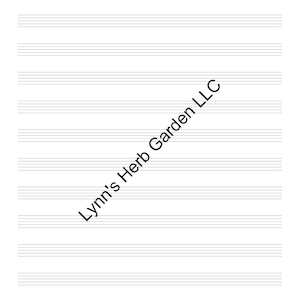 Blank Sheet Music Printable Download, Music Composition Paper, Note Writing Template, Musician Gift
