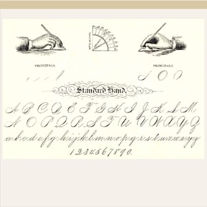 May include: A vintage illustration showcasing cursive handwriting, including the alphabet, numbers, and penmanship examples. The image features the text "Standard Hand" and diagrams of hand positions.
