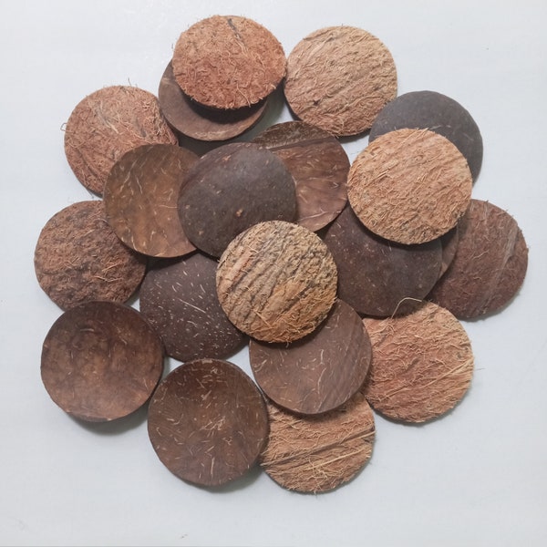 Coquilles de noix de coco naturelles de 1,5 po de diamètre pour fabriquer vos objets d'artisanat, accessoires d'artisanat,