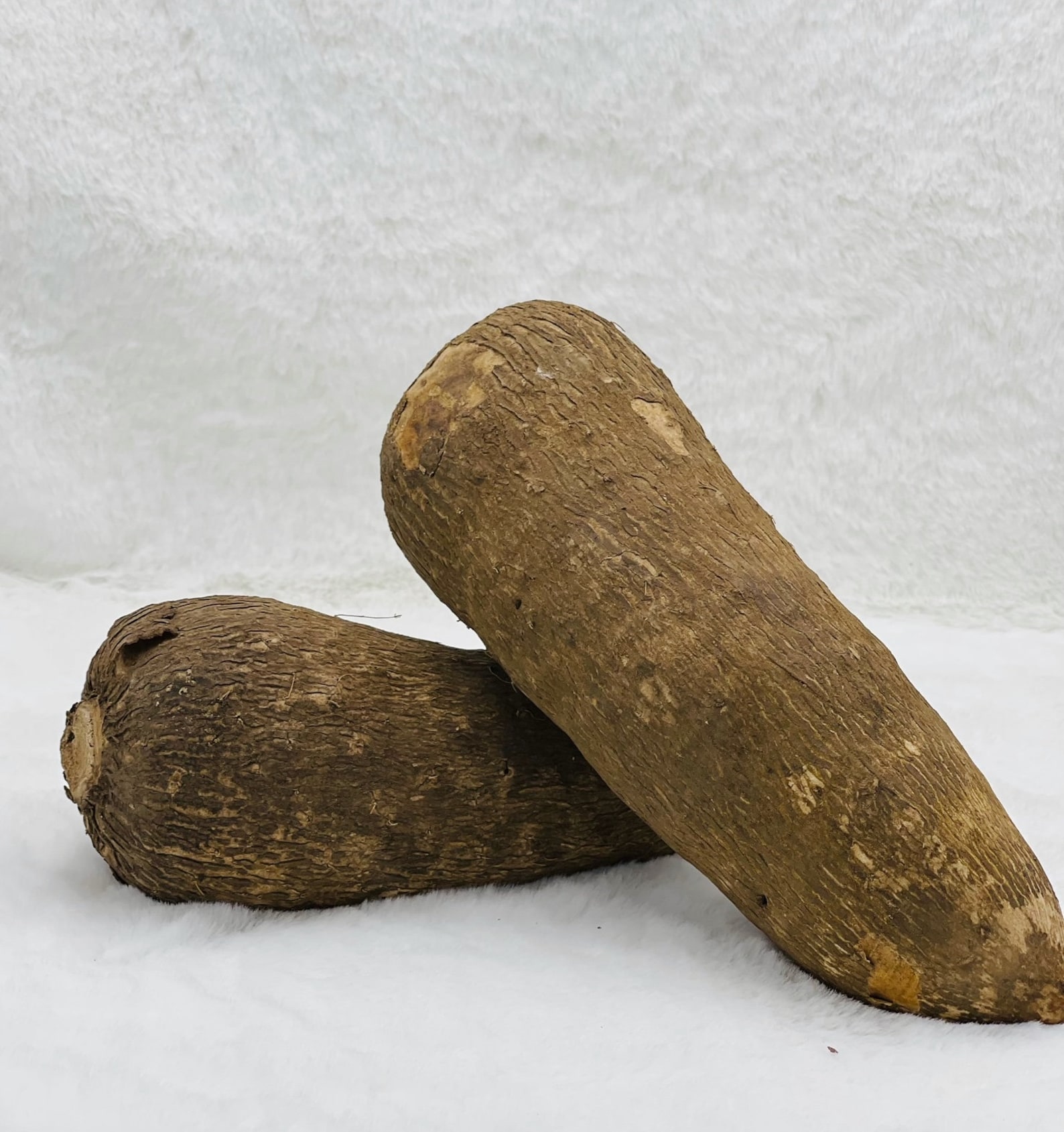 Ghana Yam/ African Yam Tuber 1 Pcs Etsy
