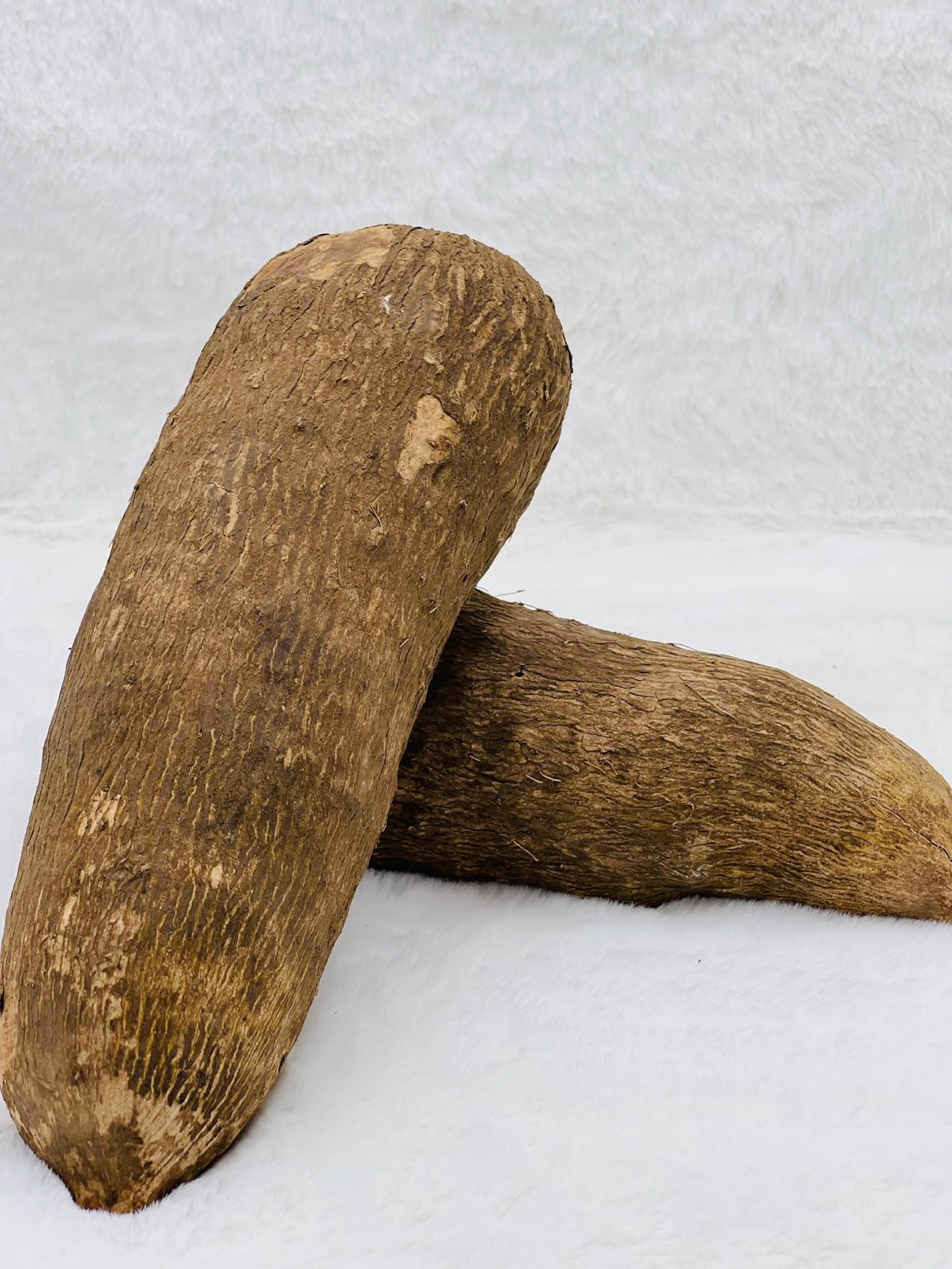 Ghana Yam/ African Yam Tuber 1 Pcs Etsy