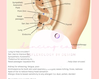 Allergieën Auriculair Protocol. Direct downloaden