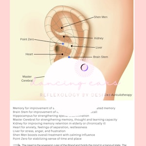 Memory & Concentration Auricular Protocol.Instant Download
