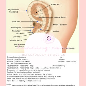 Protocolo auricular para estrés y ansiedad. Descarga instantánea