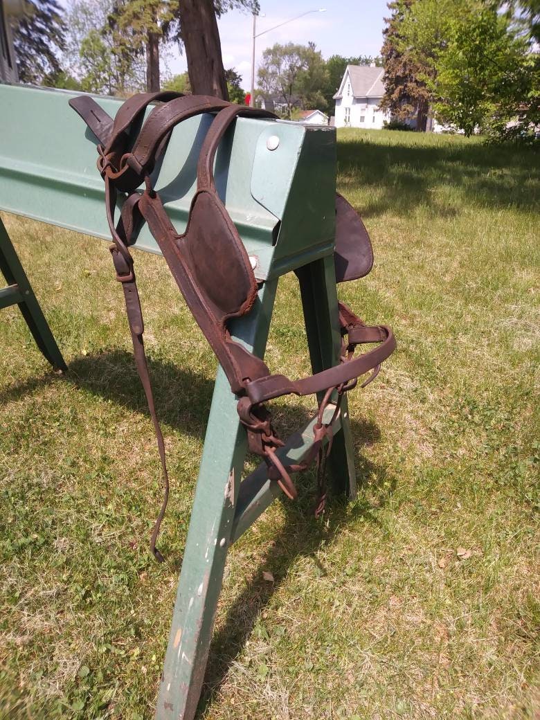 Horse Blinders for sale Only 4 left at 75