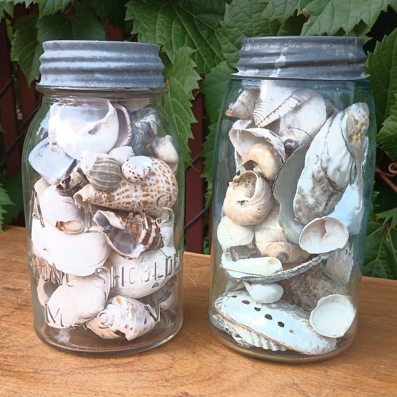 Two Vintage Mason Jars Filled With Seashells - Etsy